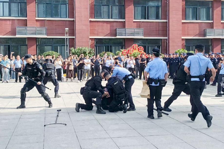 图片3